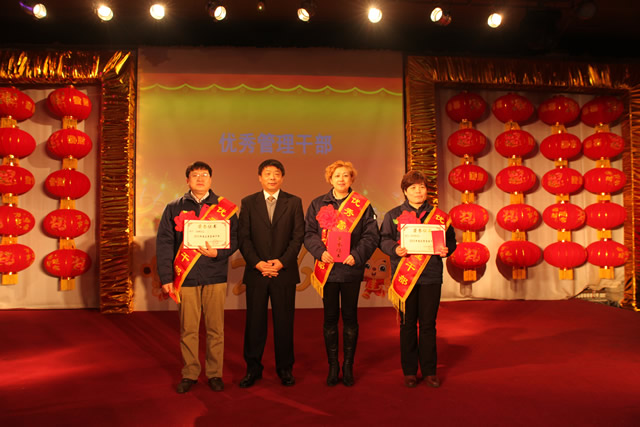河北東方召開2015年總結表(biǎo)彰暨2016年迎新(xīn)春聯歡會