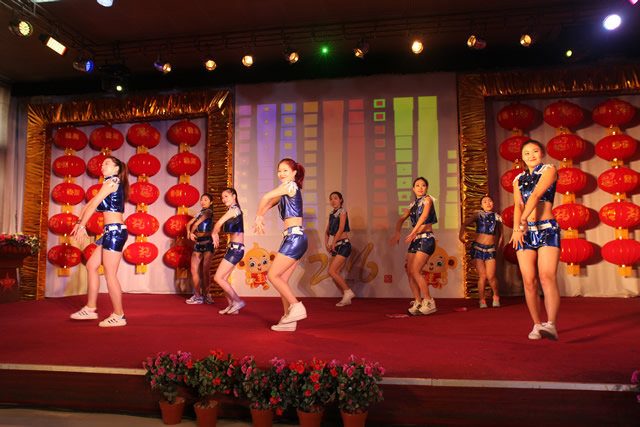 河北東方召開2015年總結表彰暨2016年迎新春聯歡會